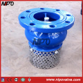 Cast Iron Ductile Iron Flanged Foot Valve